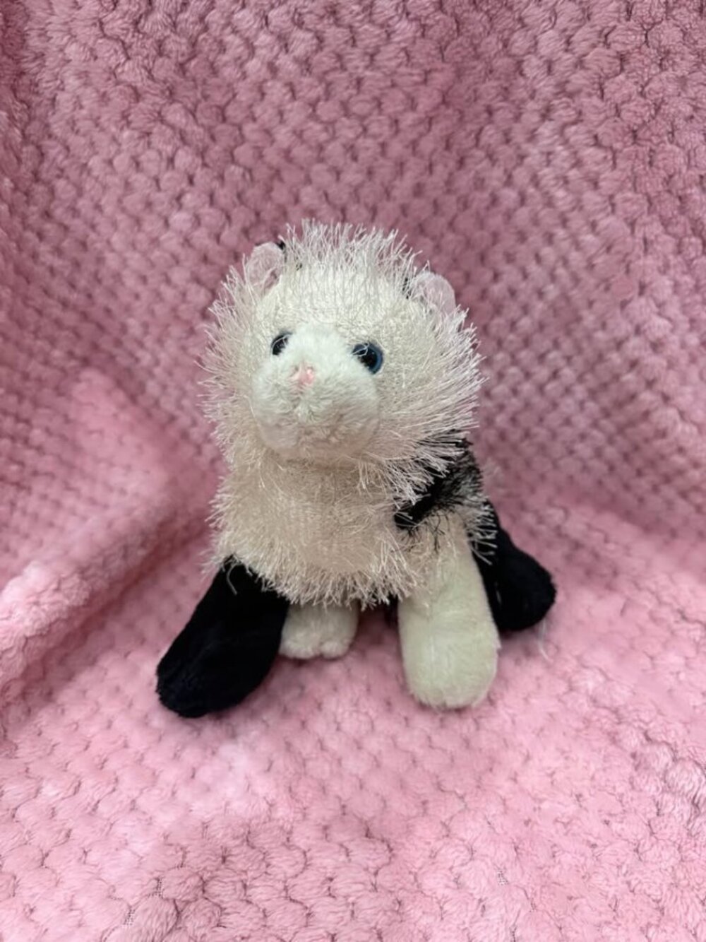 Ganz Webkinz Tuxedo Cat Plush